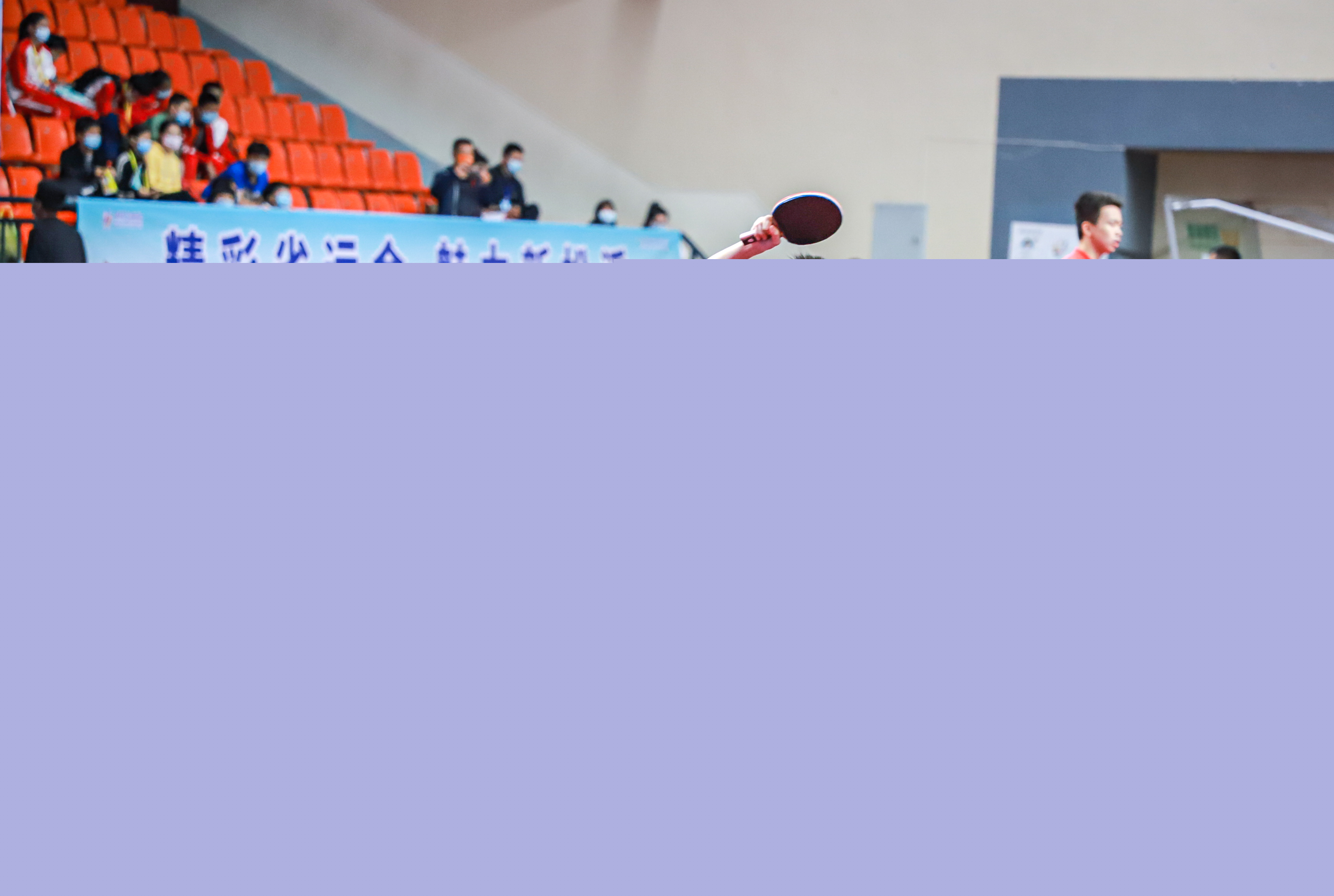 成功避免了 成功避免了