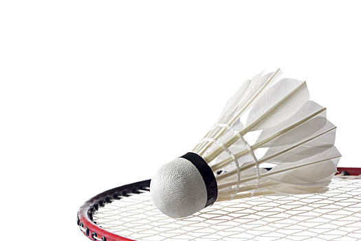 队在第三节 队在第三节