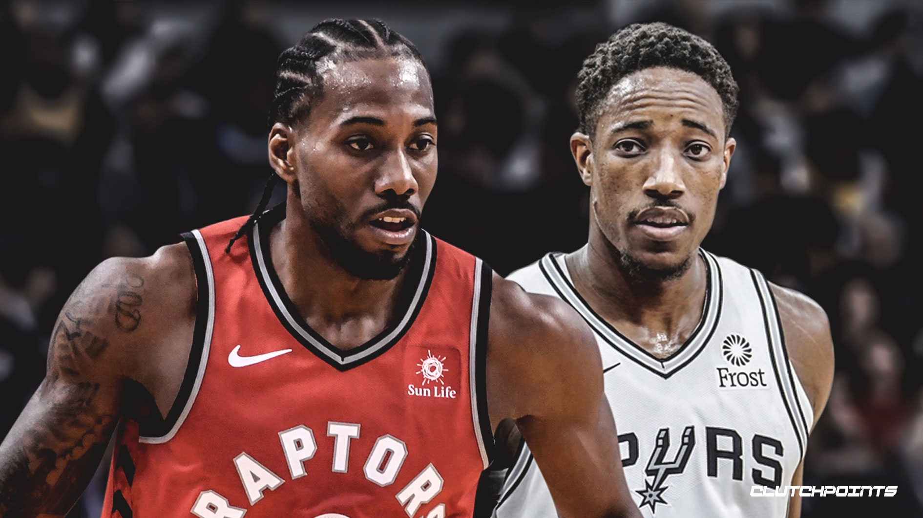 率的投影 率的投影